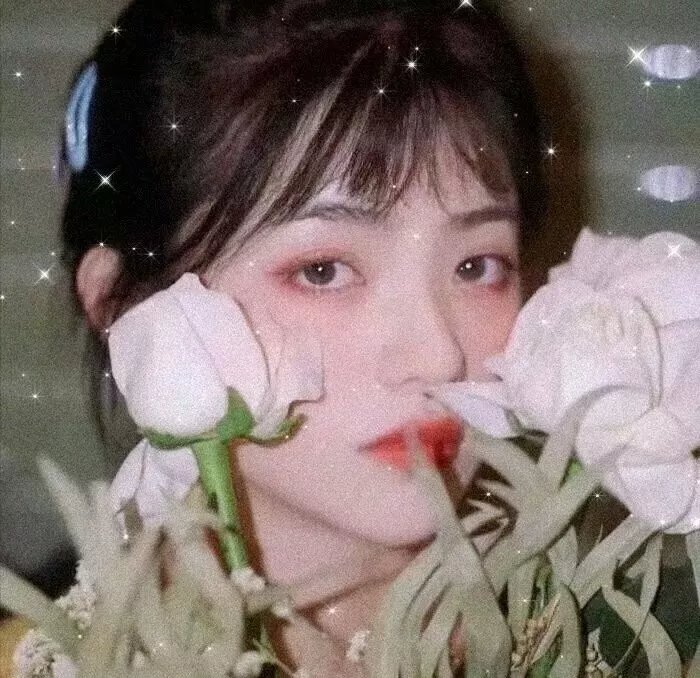 一样的世界