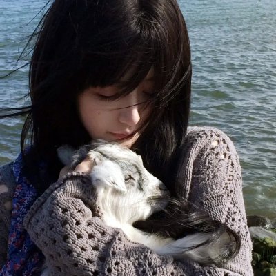 风尘奇老